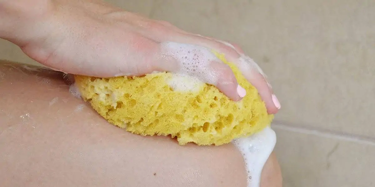 Melhores Esponjas para Banho