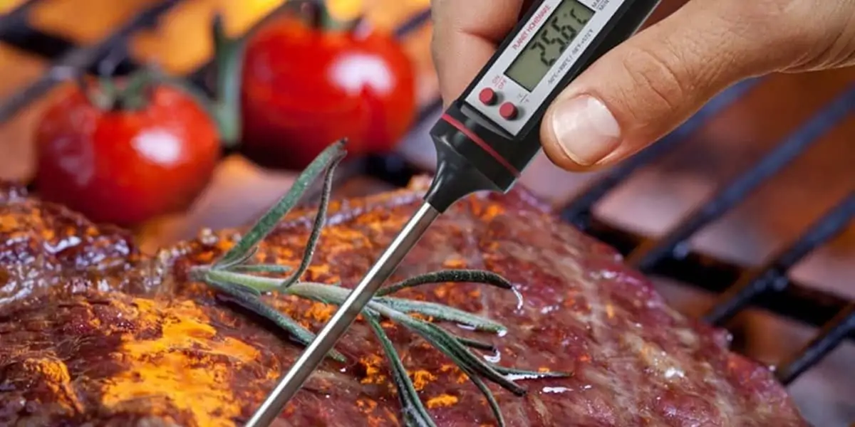 Melhores Termômetros Culinários